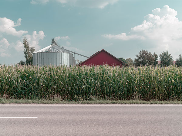 Corn Farming